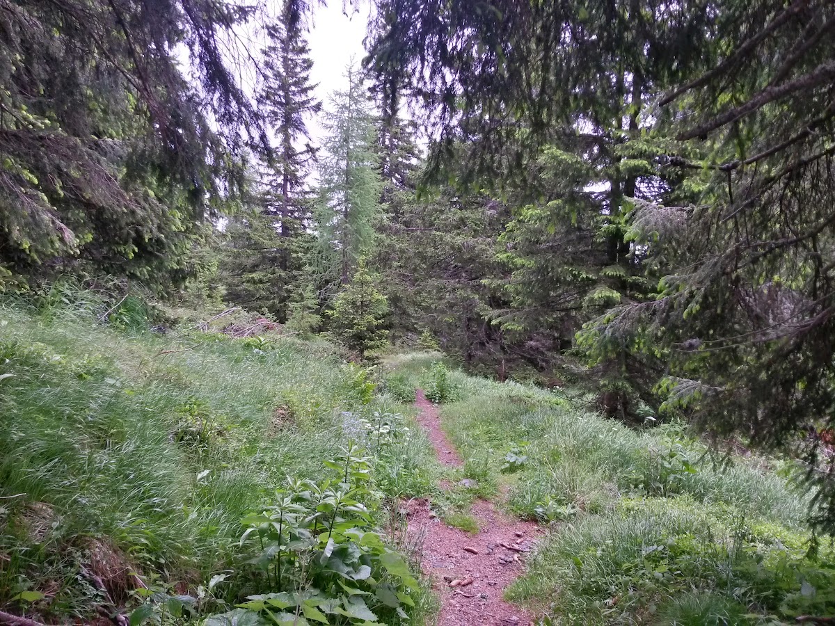 lh3.googleusercontent.com_--niqbyq4_z4_vx6atjl3tii_aaaaaaaakeq_bwlhfx9mcoa_w1200-h900-no_20150615_093137_richtone_2528hdr_2529.jpg lh3.googleusercontent.com_--niqbyq4_z4_vx6atjl3tii_aaaaaaaakeq_bwlhfx9mcoa_w1200-h900-no_20150615_093137_richtone_2528hdr_2529.jpg