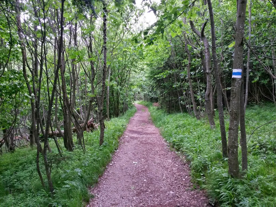 lh5.googleusercontent.com_-6g_7kohkiwk_u4chxldqrhi_aaaaaaaaydc_yxwc19nop0c_w1155-h866-no_20140529_105801_richtone_2528hdr_2529.jpg lh5.googleusercontent.com_-6g_7kohkiwk_u4chxldqrhi_aaaaaaaaydc_yxwc19nop0c_w1155-h866-no_20140529_105801_richtone_2528hdr_2529.jpg