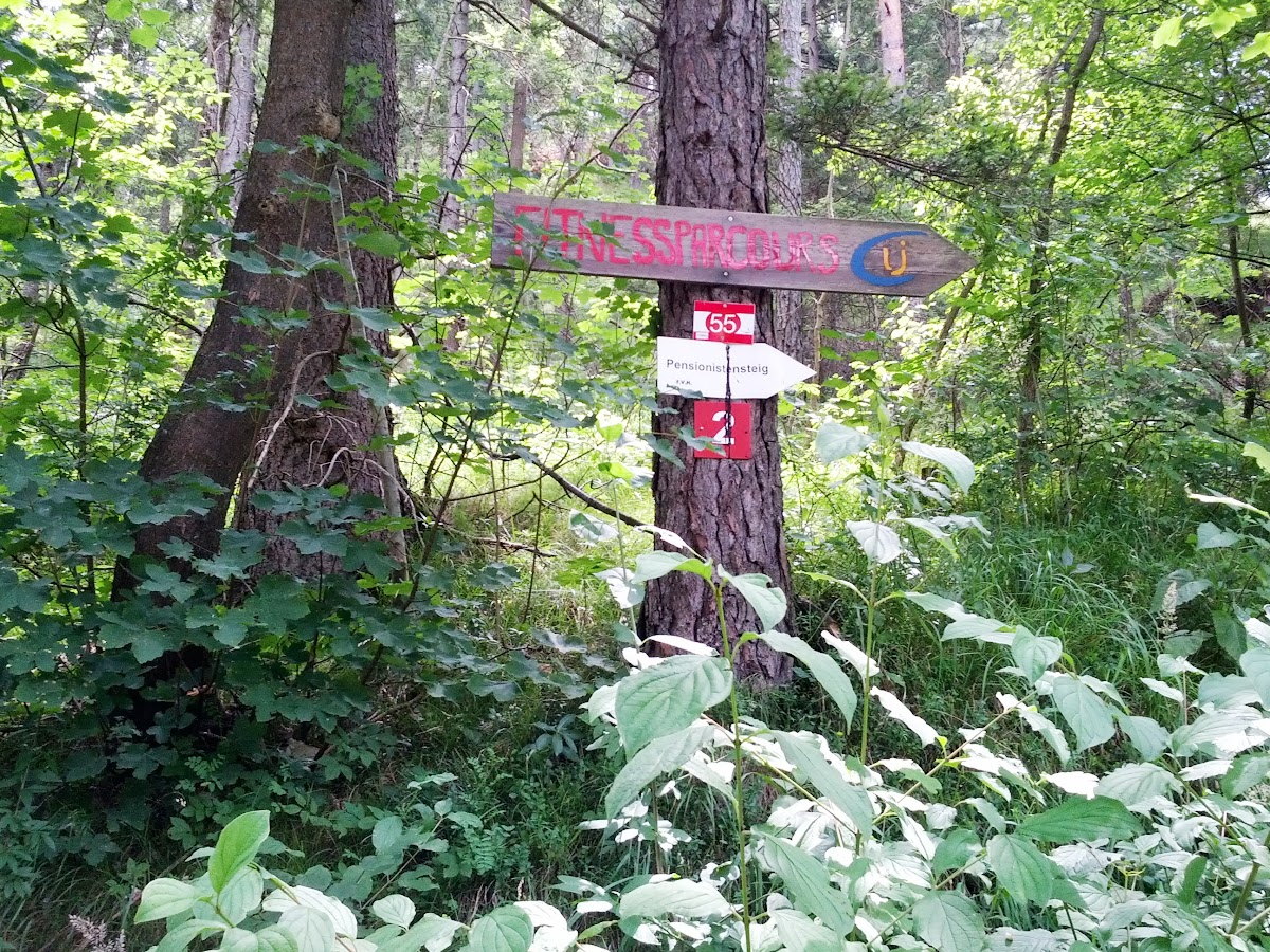 lh3.googleusercontent.com_-rfeew1wadn4_ueqyxsal62i_aaaaaaaaojm_ny7lsj9n_ma_w1200-h900-no_img_20130720_121531.jpg lh3.googleusercontent.com_-rfeew1wadn4_ueqyxsal62i_aaaaaaaaojm_ny7lsj9n_ma_w1200-h900-no_img_20130720_121531.jpg