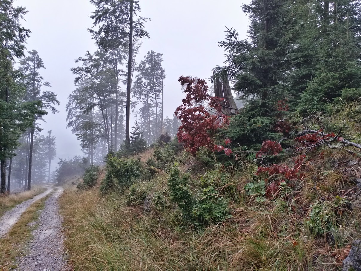 lh4.googleusercontent.com_-vbifuh5v55k_vgaxtodqg1i_aaaaaaaaocc_iucgbllcspe_w1209-h907-no_20150926_122532_richtone_2528hdr_2529.jpg lh4.googleusercontent.com_-vbifuh5v55k_vgaxtodqg1i_aaaaaaaaocc_iucgbllcspe_w1209-h907-no_20150926_122532_richtone_2528hdr_2529.jpg