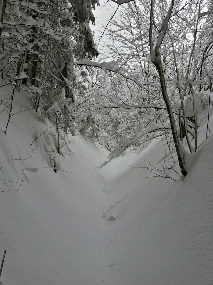 lh4.googleusercontent.com_-j1omzq4mioc_vkvq_3c0oci_aaaaaaaagxw_qwix8aupm38_w691-h921-no_20150106_103528_richtone_28hdr_29.jpg lh4.googleusercontent.com_-j1omzq4mioc_vkvq_3c0oci_aaaaaaaagxw_qwix8aupm38_w691-h921-no_20150106_103528_richtone_28hdr_29.jpg