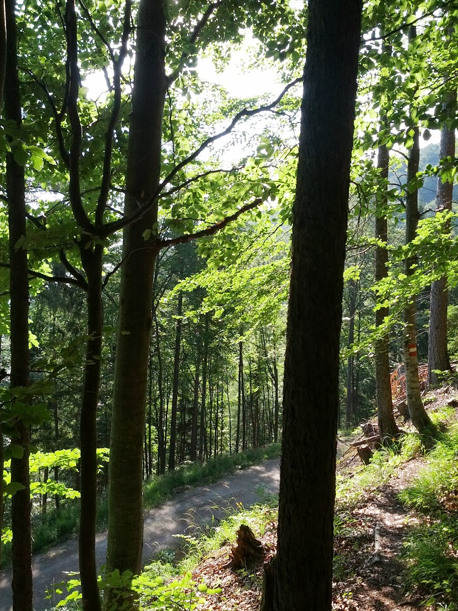 lh4.googleusercontent.com_-fqyjwc5at1w_ueqz_g9n0ai_aaaaaaaaolo_zq4vboi-bmc_w900-h1200-no_img_20130720_081702.jpg lh4.googleusercontent.com_-fqyjwc5at1w_ueqz_g9n0ai_aaaaaaaaolo_zq4vboi-bmc_w900-h1200-no_img_20130720_081702.jpg