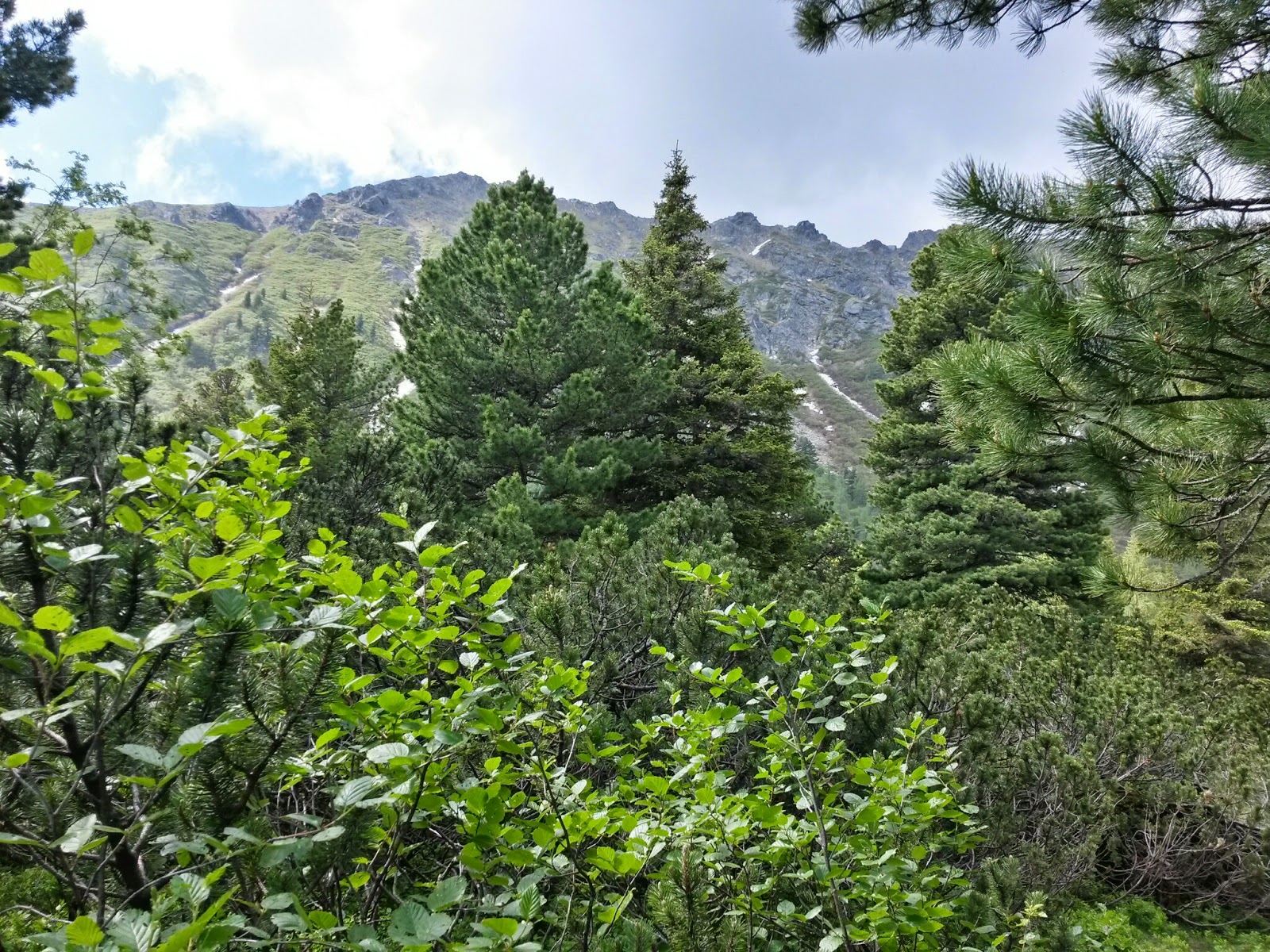 lh3.googleusercontent.com_-woiufujdo8e_u5xtxwmfkli_aaaaaaaazsu_h6hjysngose_w1600-h1200-no_20140614_100349_richtone_2528hdr_2529.jpg lh3.googleusercontent.com_-woiufujdo8e_u5xtxwmfkli_aaaaaaaazsu_h6hjysngose_w1600-h1200-no_20140614_100349_richtone_2528hdr_2529.jpg