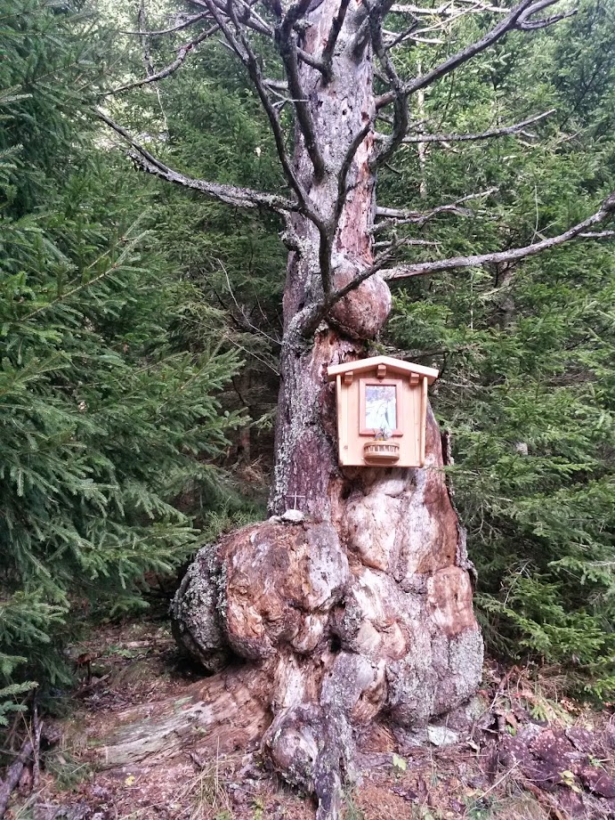 lh5.googleusercontent.com_-nonzdrubh9a_vf9vtqnrcdi_aaaaaaaaewi_gopzg4p-bty_w691-h921-no_20141109_120249_richtone_28hdr_29.jpg lh5.googleusercontent.com_-nonzdrubh9a_vf9vtqnrcdi_aaaaaaaaewi_gopzg4p-bty_w691-h921-no_20141109_120249_richtone_28hdr_29.jpg