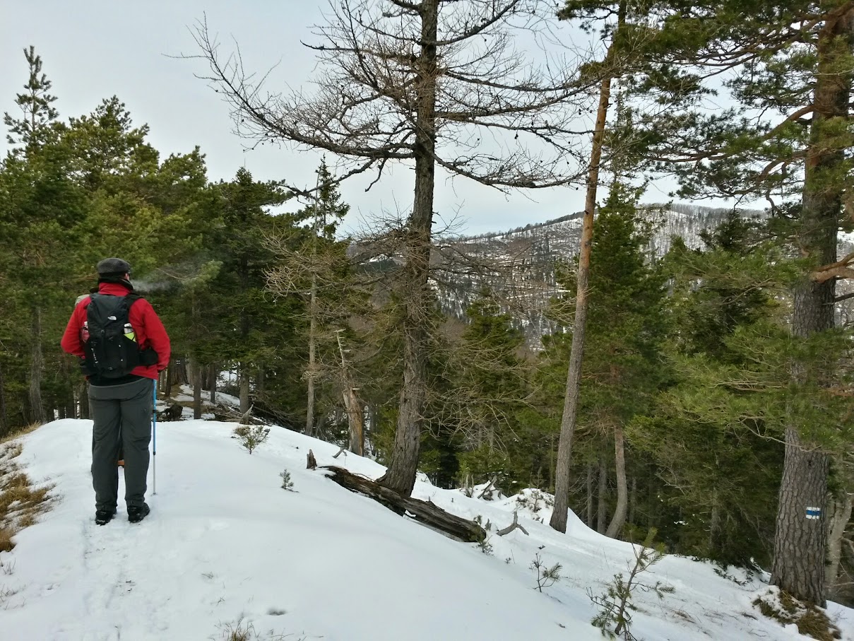 lh5.googleusercontent.com_-lgwaodkgoce_vpncoazh5ji_aaaaaaaahl4_jqx6cj2t674_w1209-h907-no_20150301_115953_richtone_28hdr_29.jpg lh5.googleusercontent.com_-lgwaodkgoce_vpncoazh5ji_aaaaaaaahl4_jqx6cj2t674_w1209-h907-no_20150301_115953_richtone_28hdr_29.jpg