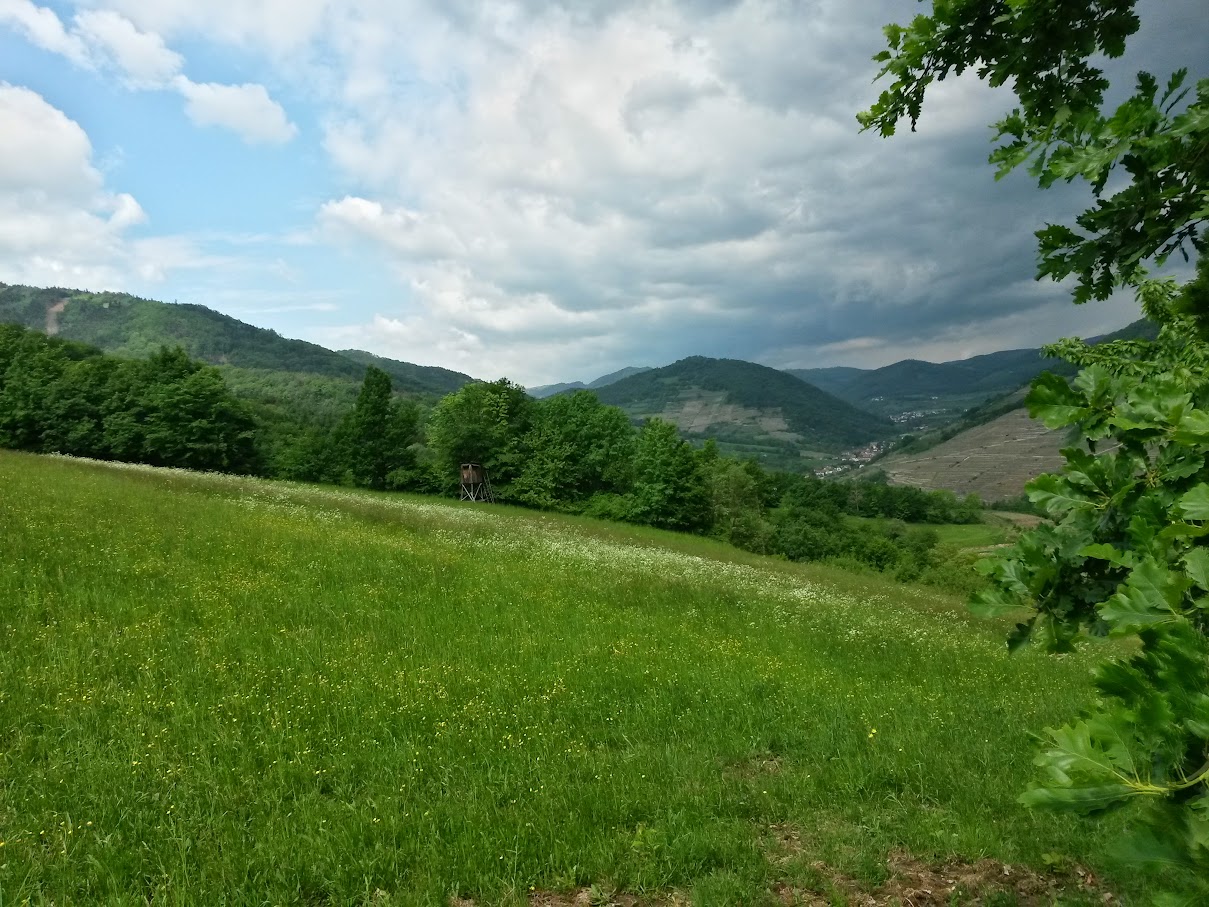 lh6.googleusercontent.com_-woiiwyqmxb8_vvstpckqdhi_aaaaaaaajbm_qpeelp73e7y_w1209-h907-no_20150514_111731_richtone_2528hdr_2529.jpg lh6.googleusercontent.com_-woiiwyqmxb8_vvstpckqdhi_aaaaaaaajbm_qpeelp73e7y_w1209-h907-no_20150514_111731_richtone_2528hdr_2529.jpg