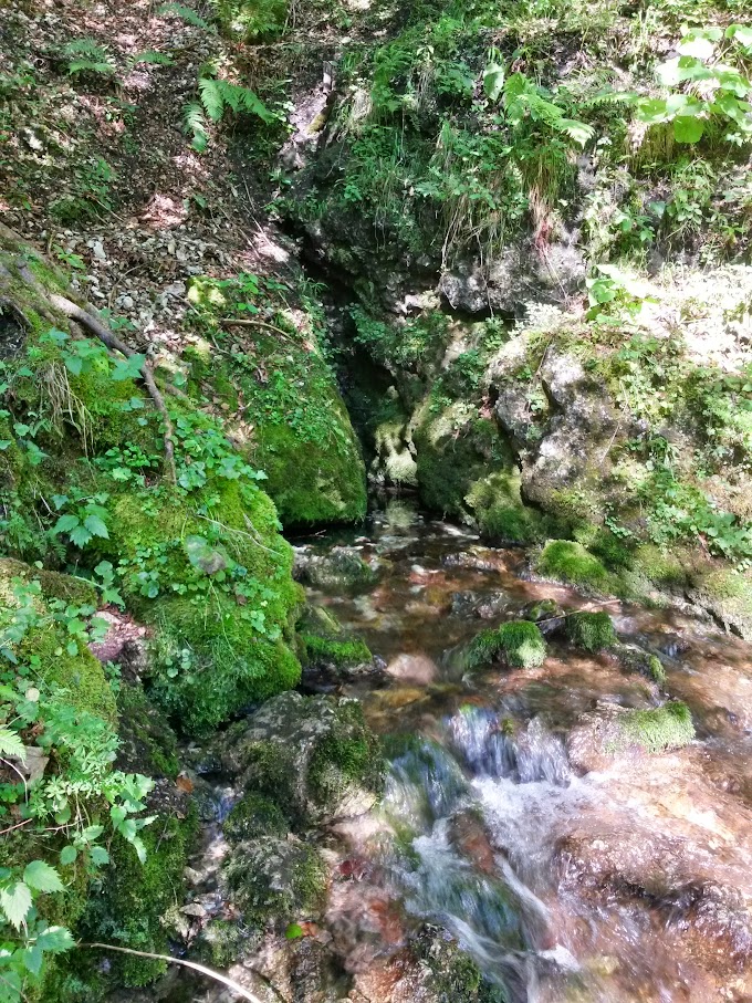 lh4.googleusercontent.com_-xq5zvl6v2sq_vdmuhrvctki_aaaaaaaanbs_6spyr21ndso_w680-h907-no_20150823_101808_richtone_2528hdr_2529.jpg lh4.googleusercontent.com_-xq5zvl6v2sq_vdmuhrvctki_aaaaaaaanbs_6spyr21ndso_w680-h907-no_20150823_101808_richtone_2528hdr_2529.jpg