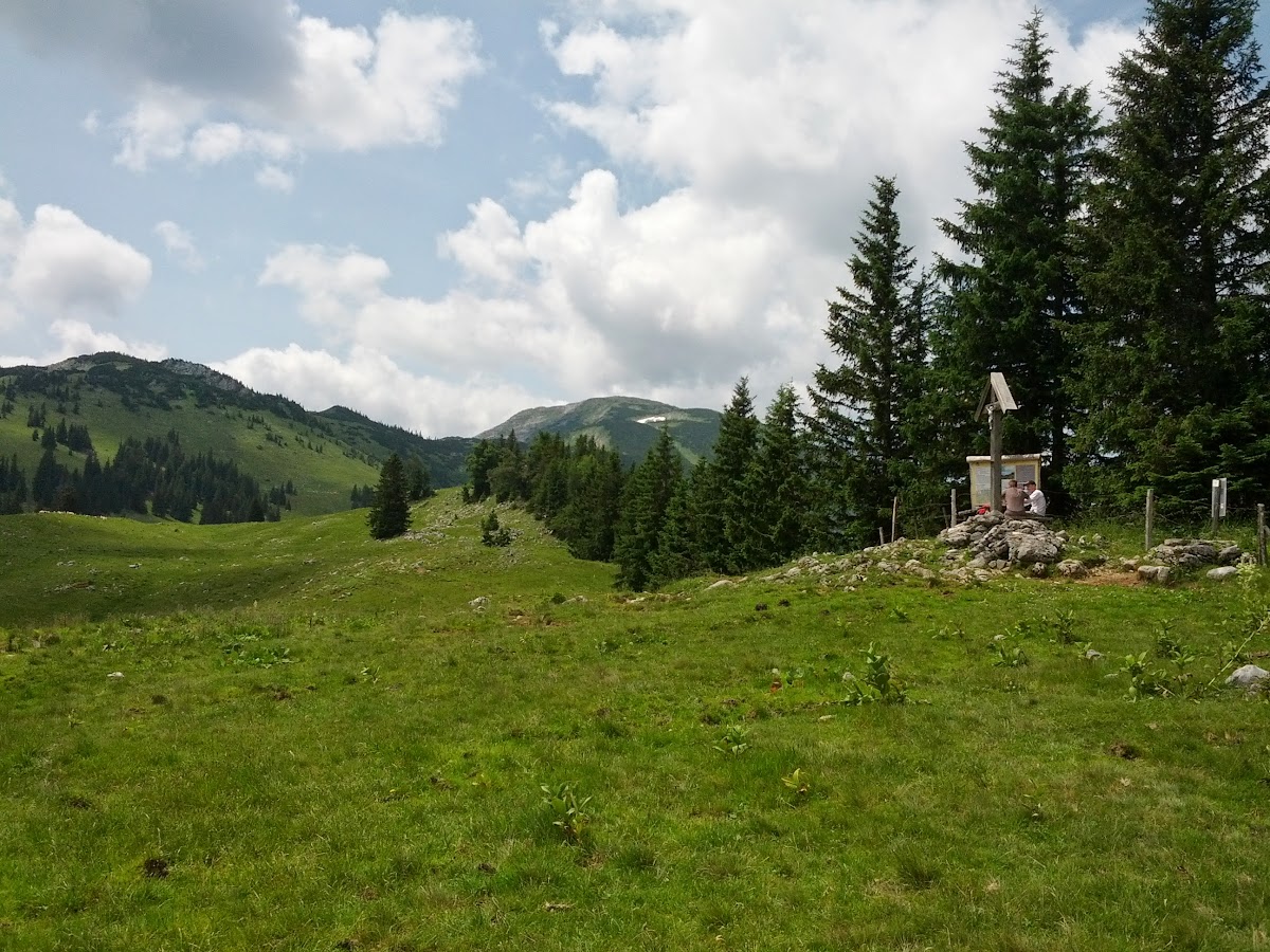 lh5.googleusercontent.com_-owqsr5qzlme_uefhrkxll9i_aaaaaaaaozc_9xs2qpseyl4_w1200-h900-no_img_20130713_120534.jpg lh5.googleusercontent.com_-owqsr5qzlme_uefhrkxll9i_aaaaaaaaozc_9xs2qpseyl4_w1200-h900-no_img_20130713_120534.jpg