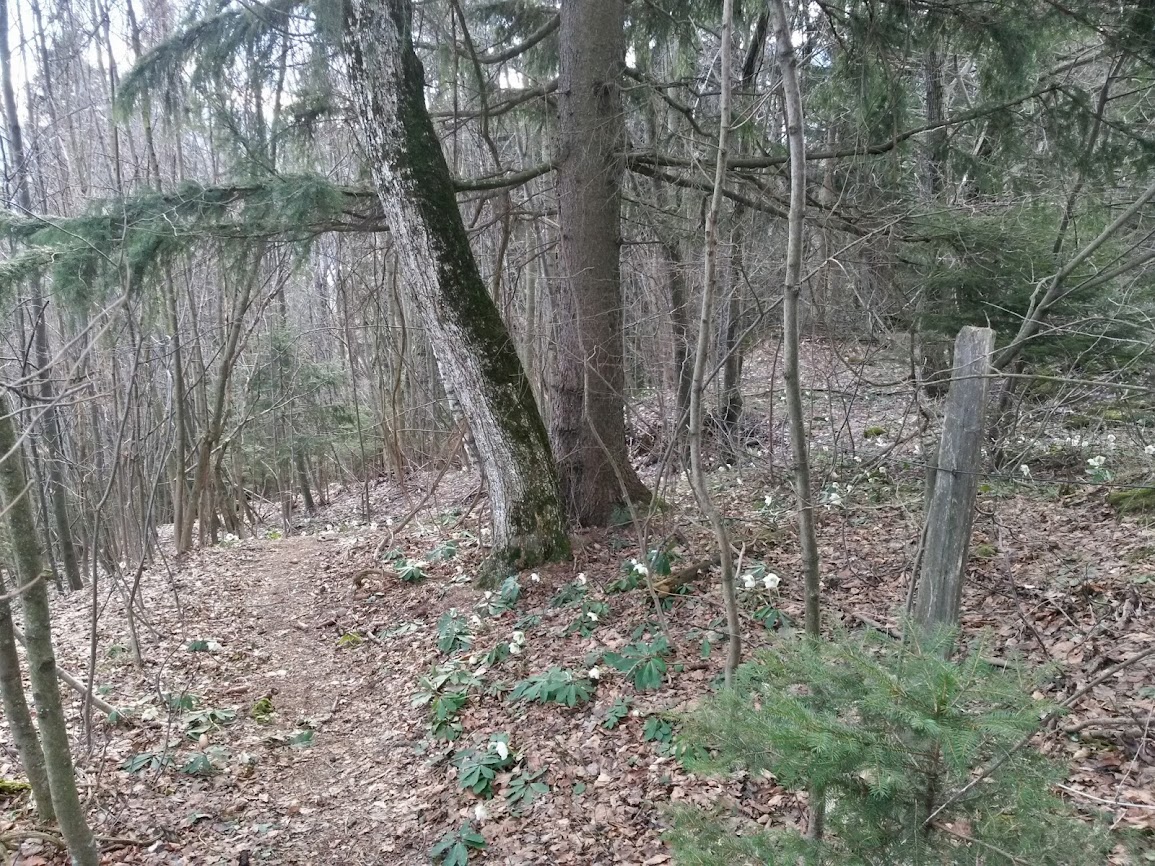 lh5.googleusercontent.com_-liv6o_0xl9y_uvzl0bwm-bi_aaaaaaaavi0_in8ckzyuhbw_w1155-h866-no_20140208_132536_richtone_2528hdr_2529.jpg lh5.googleusercontent.com_-liv6o_0xl9y_uvzl0bwm-bi_aaaaaaaavi0_in8ckzyuhbw_w1155-h866-no_20140208_132536_richtone_2528hdr_2529.jpg