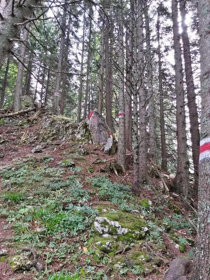 lh6.googleusercontent.com_-3liqdsp0rqc_vf143e1r4ai_aaaaaaaan70_zabl9qfne-8_w680-h907-no_20150919_114510_richtone_2528hdr_2529.jpg lh6.googleusercontent.com_-3liqdsp0rqc_vf143e1r4ai_aaaaaaaan70_zabl9qfne-8_w680-h907-no_20150919_114510_richtone_2528hdr_2529.jpg