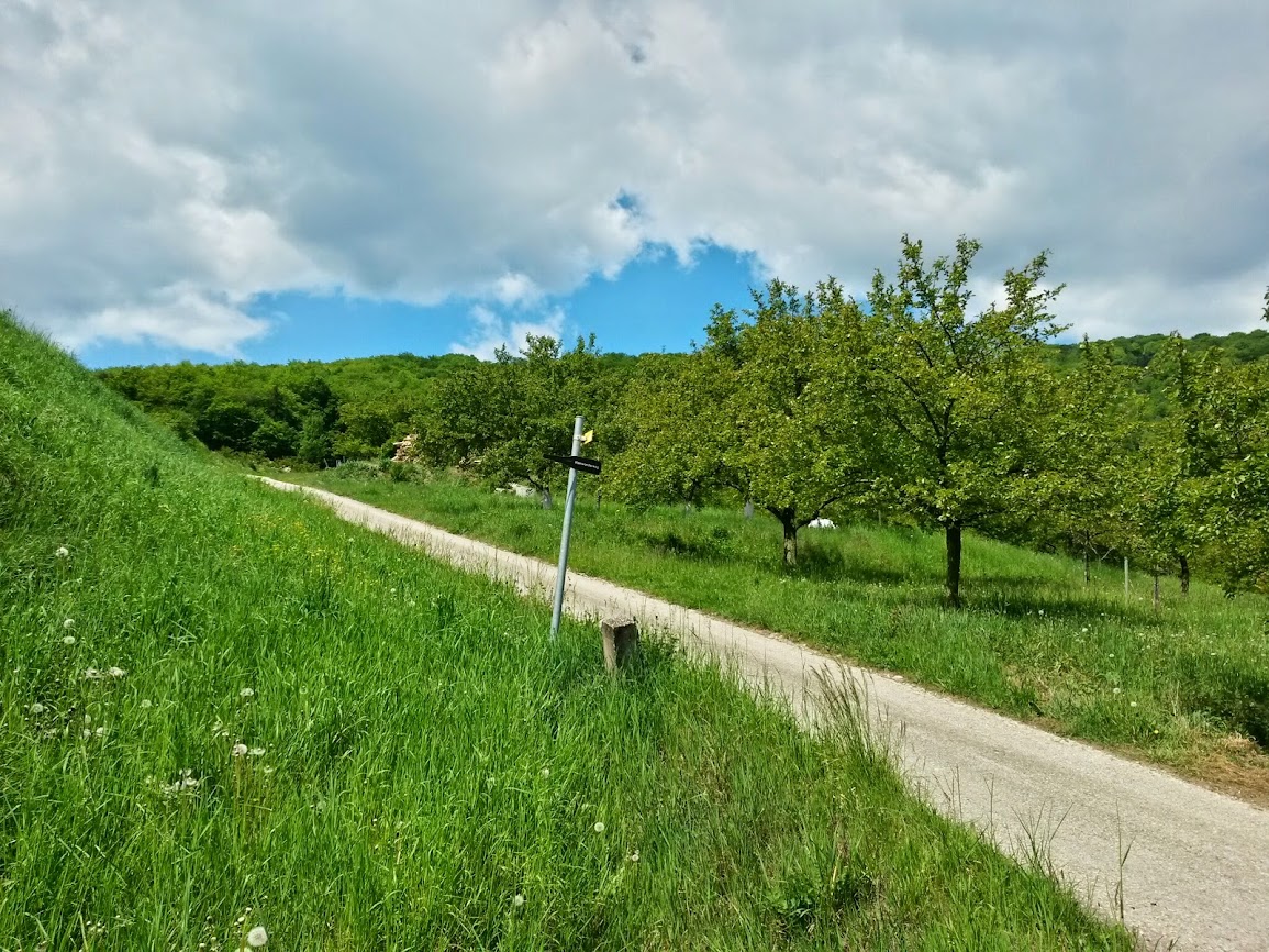 lh3.googleusercontent.com_-hk7x5cfra94_u2zrvt3ccwi_aaaaaaaaxdk_ka-jilvvqwk_w1155-h866-no_20140504_120955_richtone_2528hdr_2529.jpg lh3.googleusercontent.com_-hk7x5cfra94_u2zrvt3ccwi_aaaaaaaaxdk_ka-jilvvqwk_w1155-h866-no_20140504_120955_richtone_2528hdr_2529.jpg