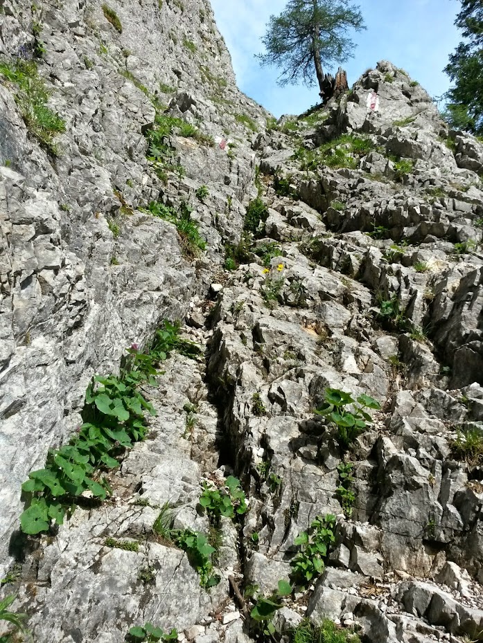 lh5.googleusercontent.com_-u9fsvbosp88_u7f82f8bf3i_aaaaaaaaa6w_czekngrrxqm_w697-h929-no_20140705_090035_richtone_2528hdr_2529.jpg lh5.googleusercontent.com_-u9fsvbosp88_u7f82f8bf3i_aaaaaaaaa6w_czekngrrxqm_w697-h929-no_20140705_090035_richtone_2528hdr_2529.jpg