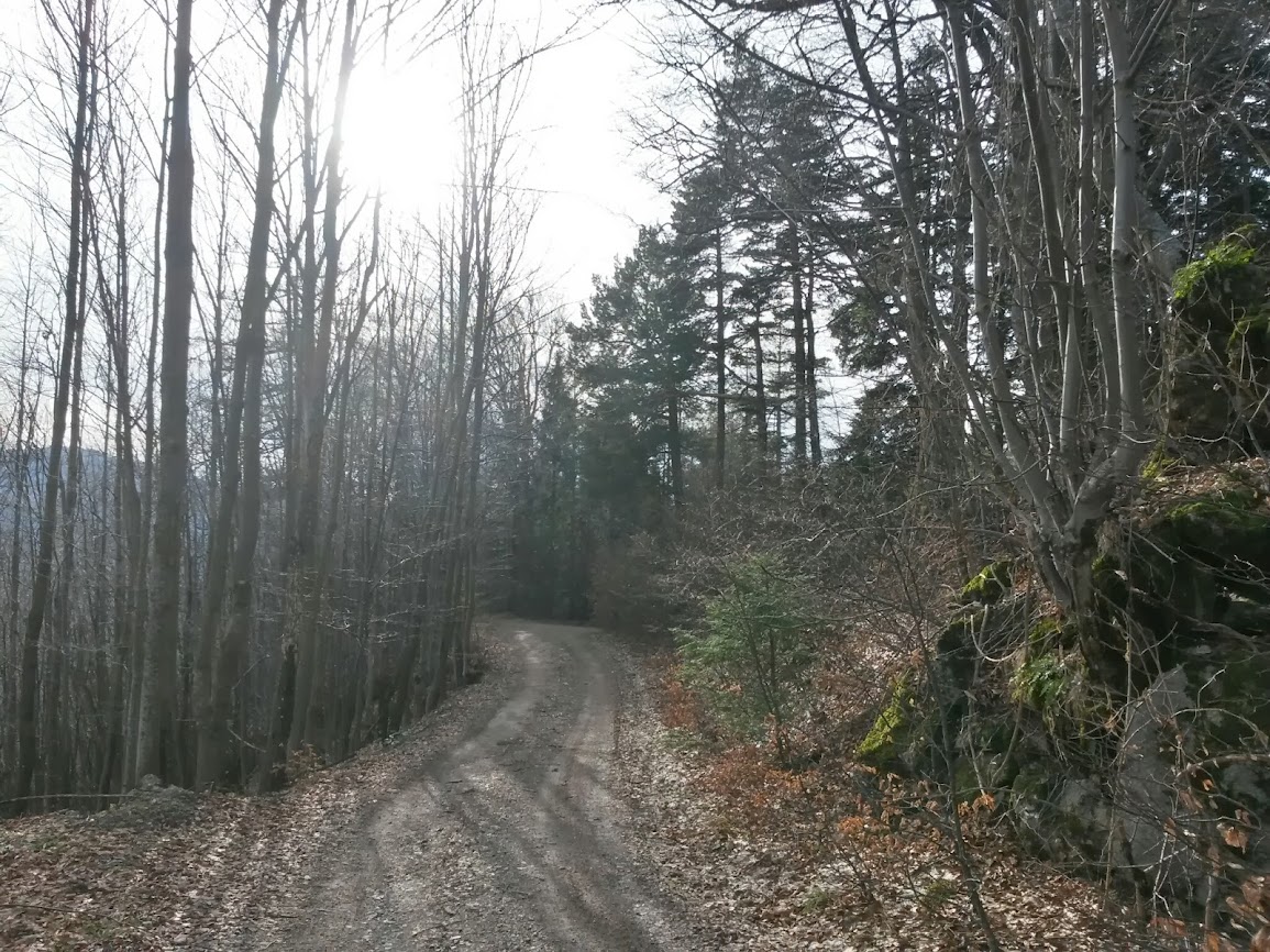 lh5.googleusercontent.com_-xtoqv7jeag8_utfaf8fbhqi_aaaaaaaaujw_v7pg9shz7ck_w1155-h866-no_20140111_122130_richtone_2528hdr_2529.jpg lh5.googleusercontent.com_-xtoqv7jeag8_utfaf8fbhqi_aaaaaaaaujw_v7pg9shz7ck_w1155-h866-no_20140111_122130_richtone_2528hdr_2529.jpg