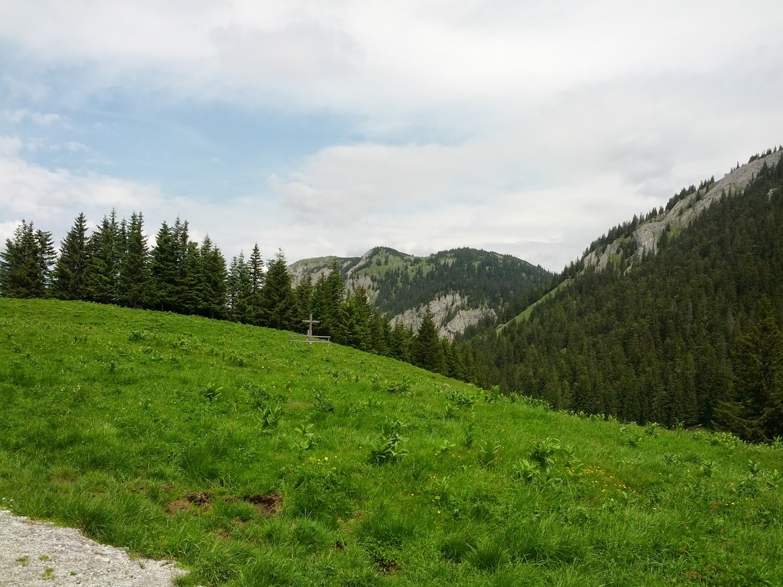 lh5.googleusercontent.com_-btylhsh18qq_ubx84huuyoi_aaaaaaaanu4_ikzmpmvxbu0_w1600-h1200-no_img_20130615_115037.jpg lh5.googleusercontent.com_-btylhsh18qq_ubx84huuyoi_aaaaaaaanu4_ikzmpmvxbu0_w1600-h1200-no_img_20130615_115037.jpg