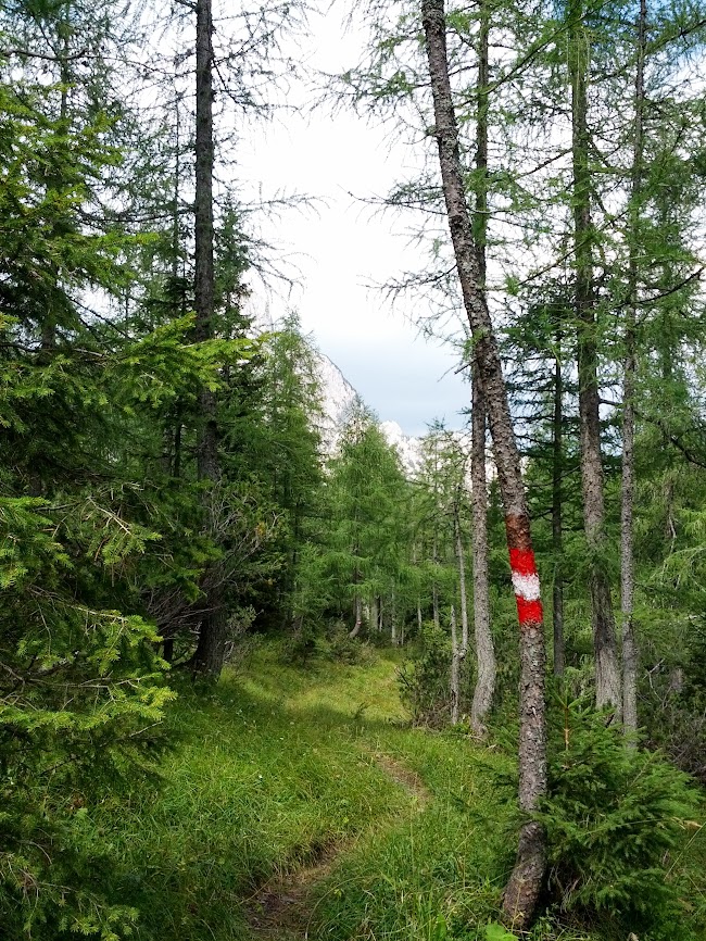 lh4.googleusercontent.com_-ems03dgtpjk_uiimscdxyri_aaaaaaaaqae_l7hicsbhdki_w650-h866-no_img_20130831_124541.jpg lh4.googleusercontent.com_-ems03dgtpjk_uiimscdxyri_aaaaaaaaqae_l7hicsbhdki_w650-h866-no_img_20130831_124541.jpg