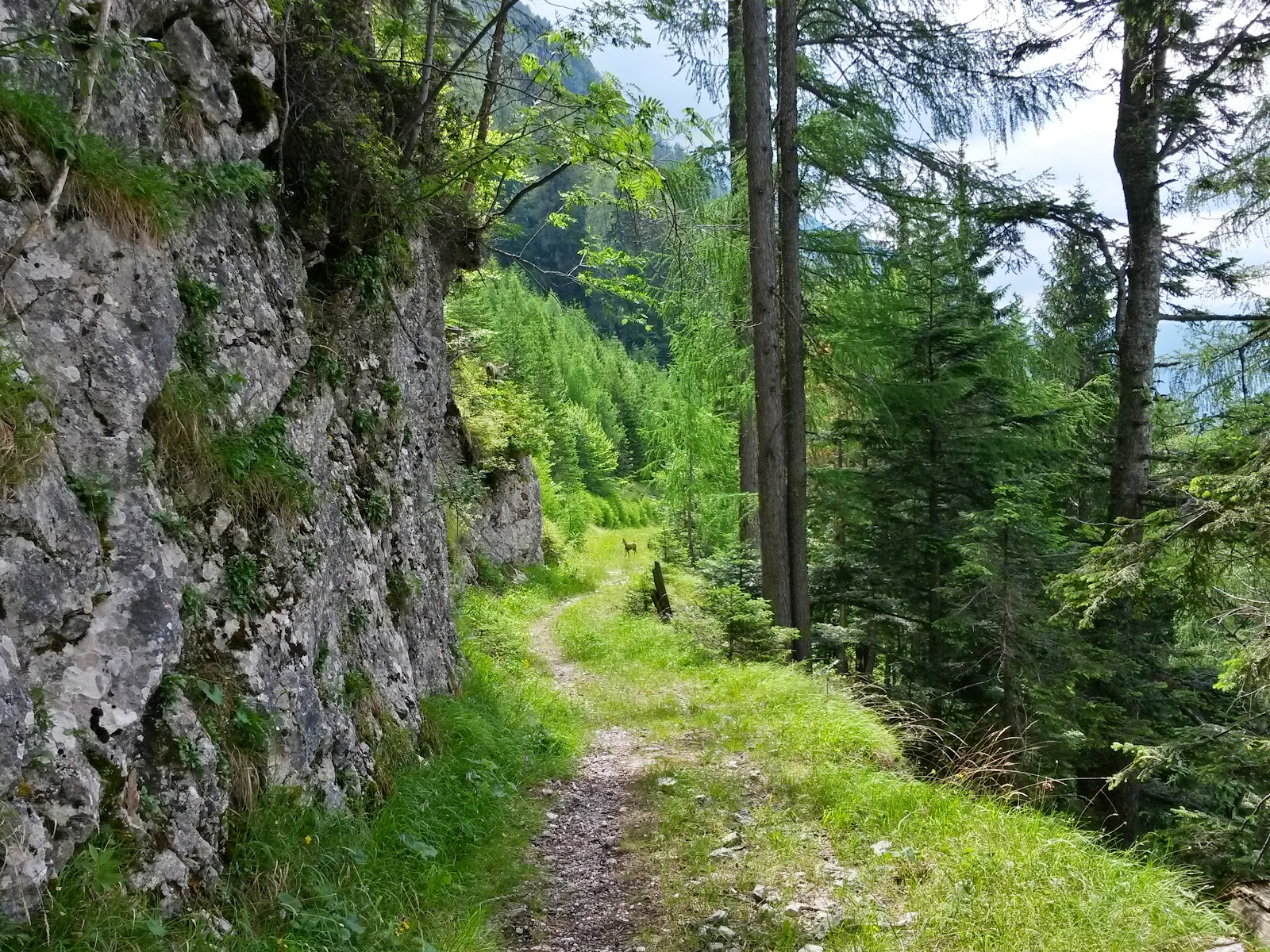 lh5.googleusercontent.com_-gtmxyxymkqq_vygwklru5wi_aaaaaaaamcu_x_uqjqrqlp8_w1600-h1200-no_20150622_153042_richtone_2528hdr_2529.jpg lh5.googleusercontent.com_-gtmxyxymkqq_vygwklru5wi_aaaaaaaamcu_x_uqjqrqlp8_w1600-h1200-no_20150622_153042_richtone_2528hdr_2529.jpg