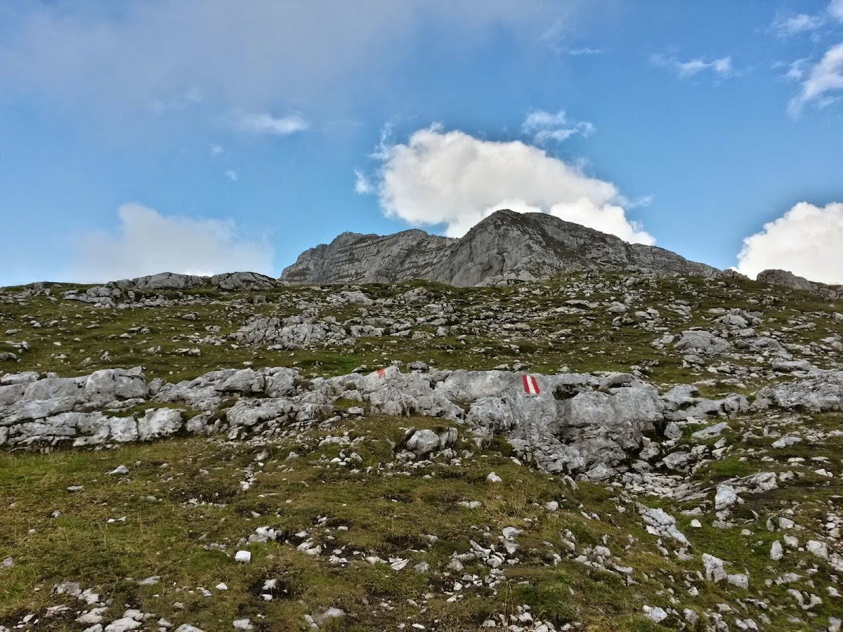 lh5.googleusercontent.com_-g2iwllpcevc_vaxfa82q4ii_aaaaaaaacmk_y13j533o9si_w1200-h900-no_20140907_112234_richtone_28hdr_29.jpg lh5.googleusercontent.com_-g2iwllpcevc_vaxfa82q4ii_aaaaaaaacmk_y13j533o9si_w1200-h900-no_20140907_112234_richtone_28hdr_29.jpg