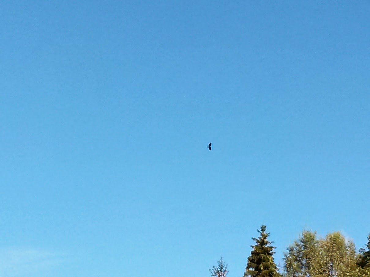 lh4.googleusercontent.com_-tizeiuuhxpg_vg_zjuihazi_aaaaaaaaol8_ujgrtdd07xy_w1209-h907-no_20151003_144900_richtone_2528hdr_2529.jpg lh4.googleusercontent.com_-tizeiuuhxpg_vg_zjuihazi_aaaaaaaaol8_ujgrtdd07xy_w1209-h907-no_20151003_144900_richtone_2528hdr_2529.jpg