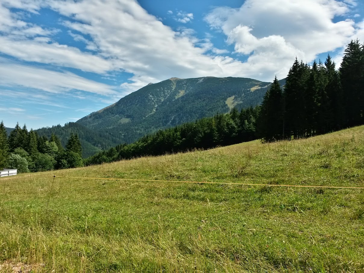 lh4.googleusercontent.com_-yyo4vubrrgo_vdsb9ljgwai_aaaaaaaaney_3-sca-u7o_w1209-h907-no_20150824_124750_richtone_2528hdr_2529.jpg lh4.googleusercontent.com_-yyo4vubrrgo_vdsb9ljgwai_aaaaaaaaney_3-sca-u7o_w1209-h907-no_20150824_124750_richtone_2528hdr_2529.jpg