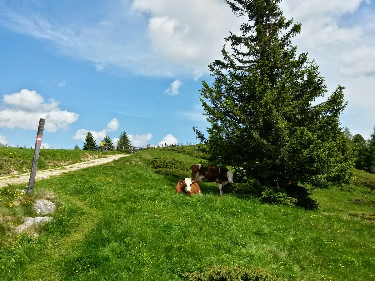 lh5.googleusercontent.com_-7atx41d5hue_vxzwsdghjpi_aaaaaaaakpm_6atvcu9lnce_w1200-h900-no_20150613_141717_richtone_2528hdr_2529.jpg lh5.googleusercontent.com_-7atx41d5hue_vxzwsdghjpi_aaaaaaaakpm_6atvcu9lnce_w1200-h900-no_20150613_141717_richtone_2528hdr_2529.jpg