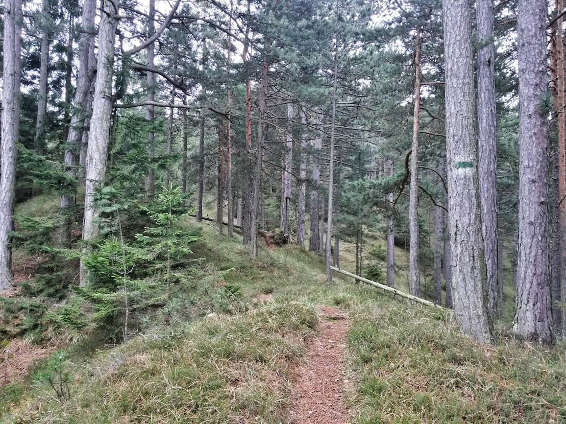 lh5.googleusercontent.com_-joqje1idlou_u1u8cohoxki_aaaaaaaaxge_e3r-li1-_uy_w1155-h866-no_20140426_100232_richtone_2528hdr_2529.jpg lh5.googleusercontent.com_-joqje1idlou_u1u8cohoxki_aaaaaaaaxge_e3r-li1-_uy_w1155-h866-no_20140426_100232_richtone_2528hdr_2529.jpg