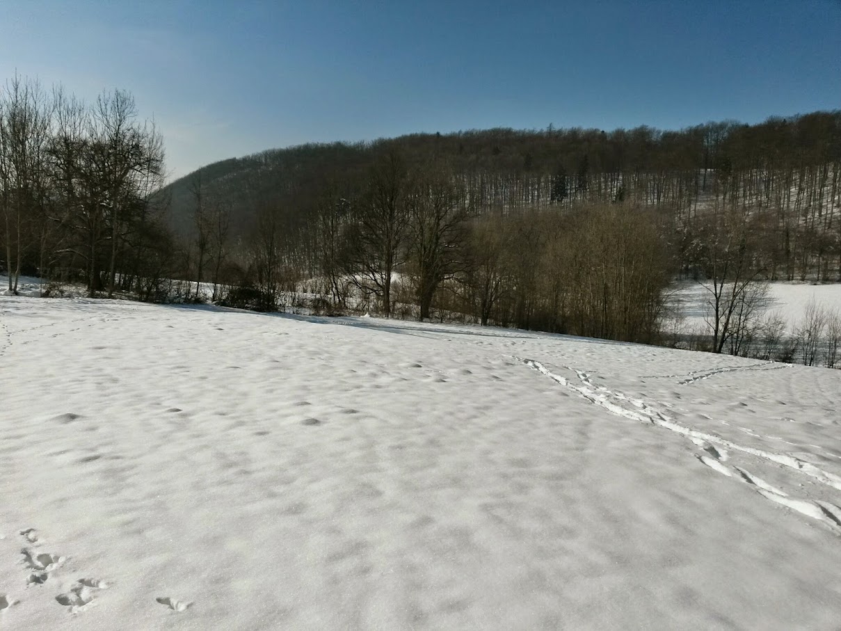 lh5.googleusercontent.com_-urozp2tqxse_vnyw0p1rgmi_aaaaaaaahu0_w48e8dvm_5q_w1209-h907-no_20150207_121451_richtone_28hdr_29.jpg lh5.googleusercontent.com_-urozp2tqxse_vnyw0p1rgmi_aaaaaaaahu0_w48e8dvm_5q_w1209-h907-no_20150207_121451_richtone_28hdr_29.jpg