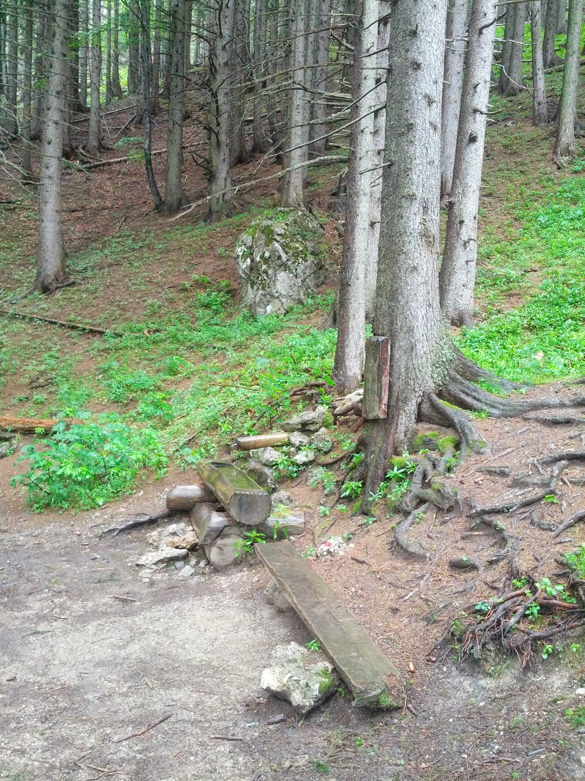 lh6.googleusercontent.com_-mrvipnn3wdg_udafo4osf0i_aaaaaaaaofe_ov0bwo7-xy_w1200-h1600-no_img_20130630_095353.jpg lh6.googleusercontent.com_-mrvipnn3wdg_udafo4osf0i_aaaaaaaaofe_ov0bwo7-xy_w1200-h1600-no_img_20130630_095353.jpg