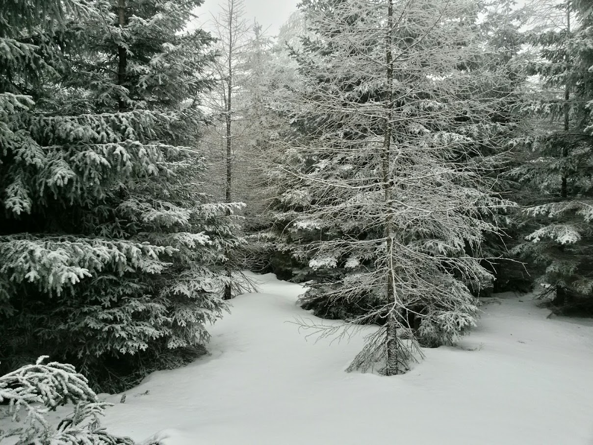 lh5.googleusercontent.com_-7xyjzuhw4uc_vmoujrmjypi_aaaaaaaahgs_qw-niv4sqdk_w1209-h907-no_20150124_115933_richtone_28hdr_29.jpg lh5.googleusercontent.com_-7xyjzuhw4uc_vmoujrmjypi_aaaaaaaahgs_qw-niv4sqdk_w1209-h907-no_20150124_115933_richtone_28hdr_29.jpg