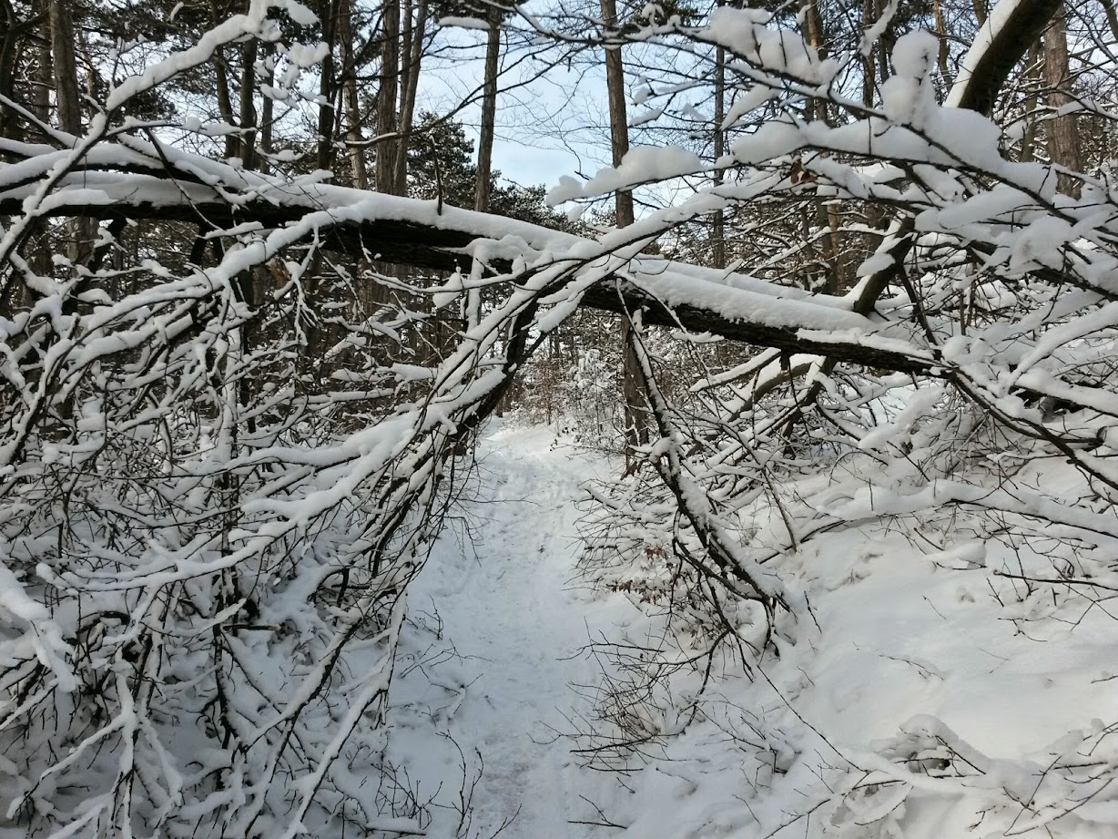 lh5.googleusercontent.com_-mfdidjdvqzi_vkquvu2emwi_aaaaaaaagk0_tjxoeskt-24_w1228-h921-no_20141231_105725_richtone_28hdr_29.jpg lh5.googleusercontent.com_-mfdidjdvqzi_vkquvu2emwi_aaaaaaaagk0_tjxoeskt-24_w1228-h921-no_20141231_105725_richtone_28hdr_29.jpg