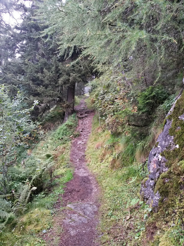 lh5.googleusercontent.com_-p5qp7pstttm_vbbkpmvhcei_aaaaaaaac8e_ob6ccdktm2a_w600-h800-no_20140910_095619_richtone_28hdr_29.jpg lh5.googleusercontent.com_-p5qp7pstttm_vbbkpmvhcei_aaaaaaaac8e_ob6ccdktm2a_w600-h800-no_20140910_095619_richtone_28hdr_29.jpg