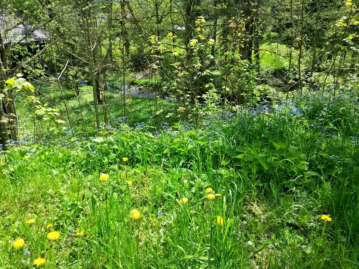 lh3.googleusercontent.com_-ibt0vgtzb3g_u25csfbqkri_aaaaaaaaxsw_ocex8llq_lg_w1155-h866-no_20140510_133506_richtone_2528hdr_2529.jpg lh3.googleusercontent.com_-ibt0vgtzb3g_u25csfbqkri_aaaaaaaaxsw_ocex8llq_lg_w1155-h866-no_20140510_133506_richtone_2528hdr_2529.jpg