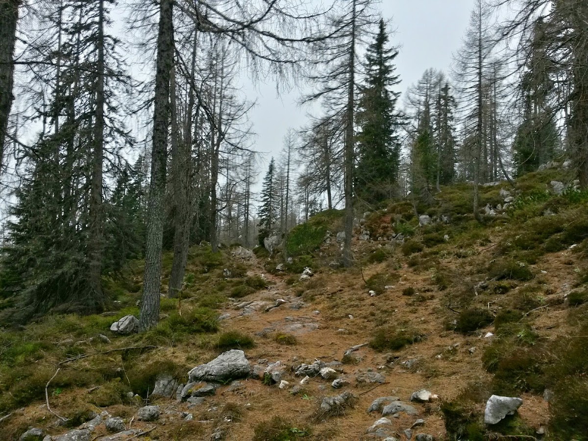 lh3.googleusercontent.com_-0gpv4o2dptg_vhsznwoy0ai_aaaaaaaaftm_sgngd_rqu2k_w1200-h900-no_20141125_115804_richtone_28hdr_29.jpg lh3.googleusercontent.com_-0gpv4o2dptg_vhsznwoy0ai_aaaaaaaaftm_sgngd_rqu2k_w1200-h900-no_20141125_115804_richtone_28hdr_29.jpg