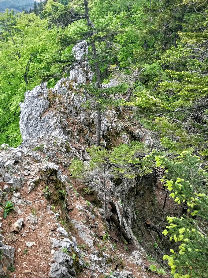 lh6.googleusercontent.com_-hckjfbdo2s8_vwnuawvroli_aaaaaaaajec_2het0w0aufu_w680-h907-no_20150530_123523_richtone_2528hdr_2529.jpg lh6.googleusercontent.com_-hckjfbdo2s8_vwnuawvroli_aaaaaaaajec_2het0w0aufu_w680-h907-no_20150530_123523_richtone_2528hdr_2529.jpg