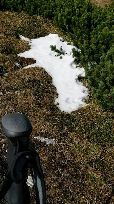 lh4.googleusercontent.com_-tahgispvsa0_umku20h-asi_aaaaaaaarko_fucppomhb0i_w487-h866-no_20131019_103629.jpg lh4.googleusercontent.com_-tahgispvsa0_umku20h-asi_aaaaaaaarko_fucppomhb0i_w487-h866-no_20131019_103629.jpg