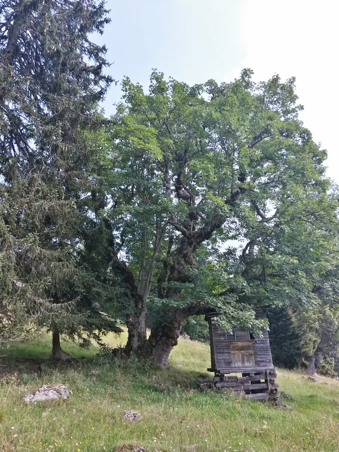 lh6.googleusercontent.com_-egobvnjwwvo_vcye9thmxji_aaaaaaaangy_w57bj5juyki_w680-h907-no_20150808_112328_richtone_2528hdr_2529.jpg lh6.googleusercontent.com_-egobvnjwwvo_vcye9thmxji_aaaaaaaangy_w57bj5juyki_w680-h907-no_20150808_112328_richtone_2528hdr_2529.jpg