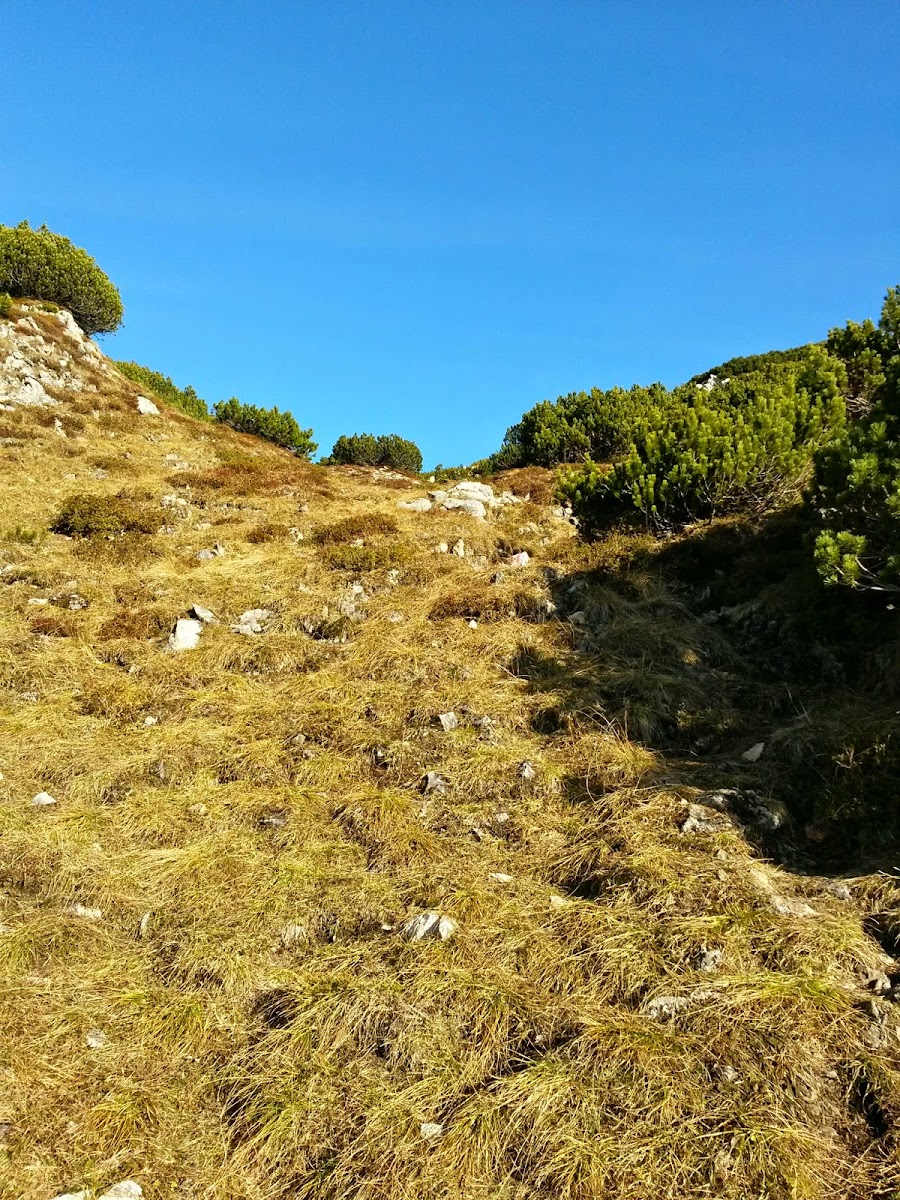 lh4.googleusercontent.com_-ne1f-upqjja_vhdpplwvpfi_aaaaaaaafgm_wbr2007pvcg_w900-h1200-no_20141127_102148_richtone_28hdr_29.jpg lh4.googleusercontent.com_-ne1f-upqjja_vhdpplwvpfi_aaaaaaaafgm_wbr2007pvcg_w900-h1200-no_20141127_102148_richtone_28hdr_29.jpg