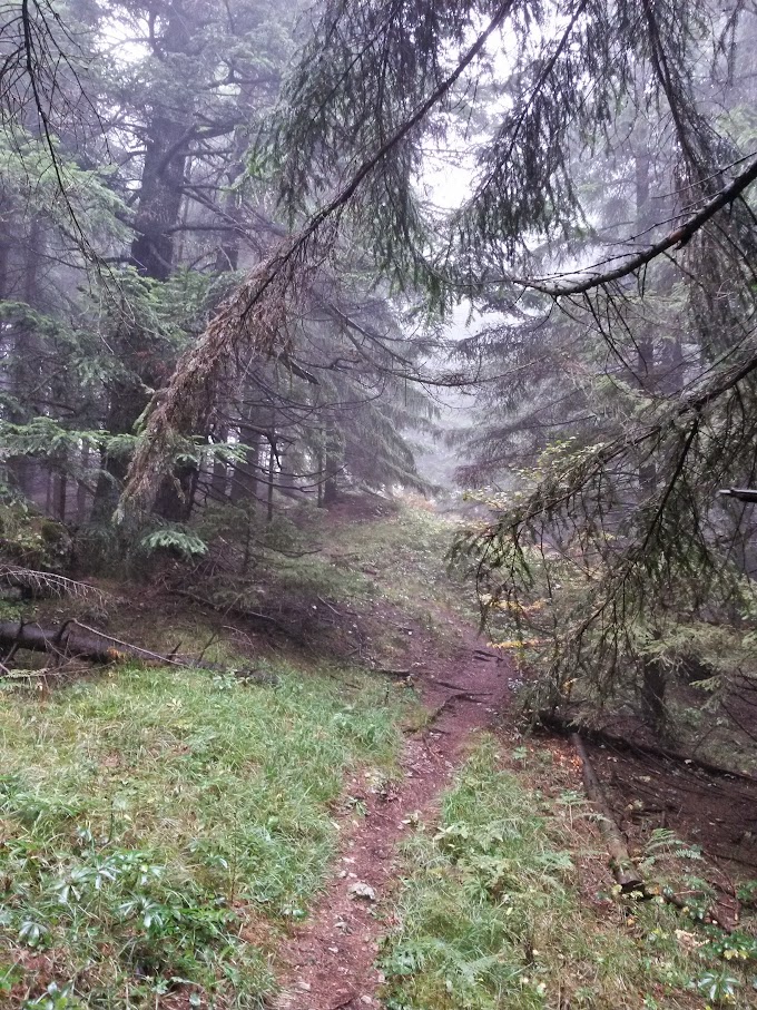 lh6.googleusercontent.com_-uycxye2bxec_vhkeb8gxgui_aaaaaaaaorg_8dnn7lfj8zm_w680-h907-no_20151010_102546_richtone_2528hdr_2529.jpg lh6.googleusercontent.com_-uycxye2bxec_vhkeb8gxgui_aaaaaaaaorg_8dnn7lfj8zm_w680-h907-no_20151010_102546_richtone_2528hdr_2529.jpg