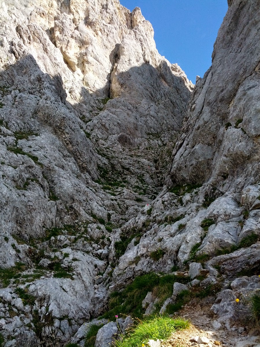 lh4.googleusercontent.com_-3nlttjumza0_ufkja1clnui_aaaaaaaapdi_9tqgqbyd40e_w900-h1200-no_img_20130731_100639.jpg lh4.googleusercontent.com_-3nlttjumza0_ufkja1clnui_aaaaaaaapdi_9tqgqbyd40e_w900-h1200-no_img_20130731_100639.jpg