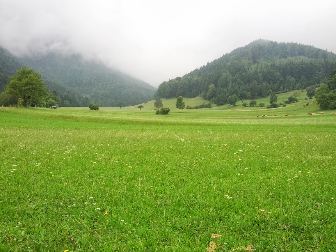 lh4.googleusercontent.com_-e09bkbum6mm_uhjohpqux8i_aaaaaaaap6c_2vsvb0gsit4_w1155-h866-no_img_20130824_143451.jpg lh4.googleusercontent.com_-e09bkbum6mm_uhjohpqux8i_aaaaaaaap6c_2vsvb0gsit4_w1155-h866-no_img_20130824_143451.jpg