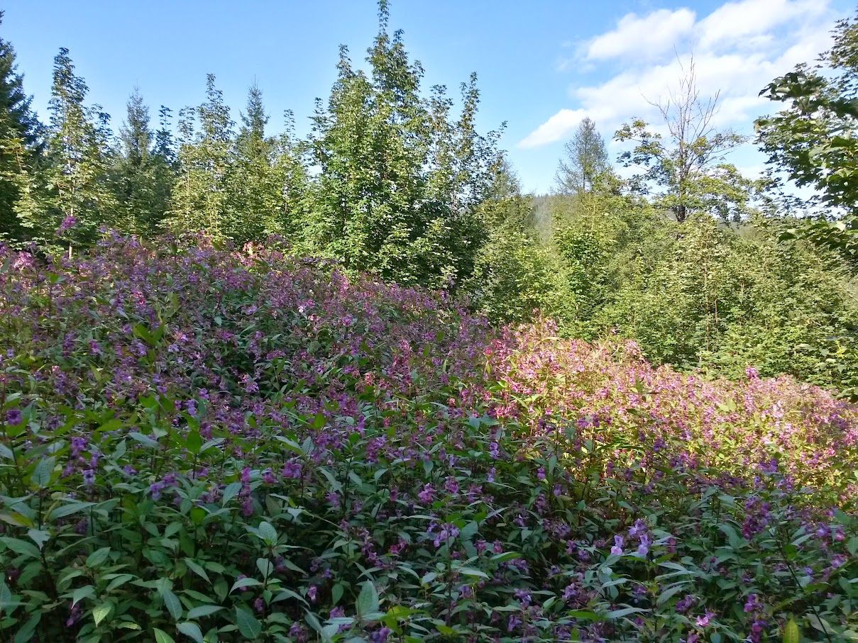 lh4.googleusercontent.com_-0dkm4euqhpk_vfrargnmobi_aaaaaaaan0y_x8z6suuyltq_w1209-h907-no_20150912_154353_richtone_2528hdr_2529.jpg lh4.googleusercontent.com_-0dkm4euqhpk_vfrargnmobi_aaaaaaaan0y_x8z6suuyltq_w1209-h907-no_20150912_154353_richtone_2528hdr_2529.jpg