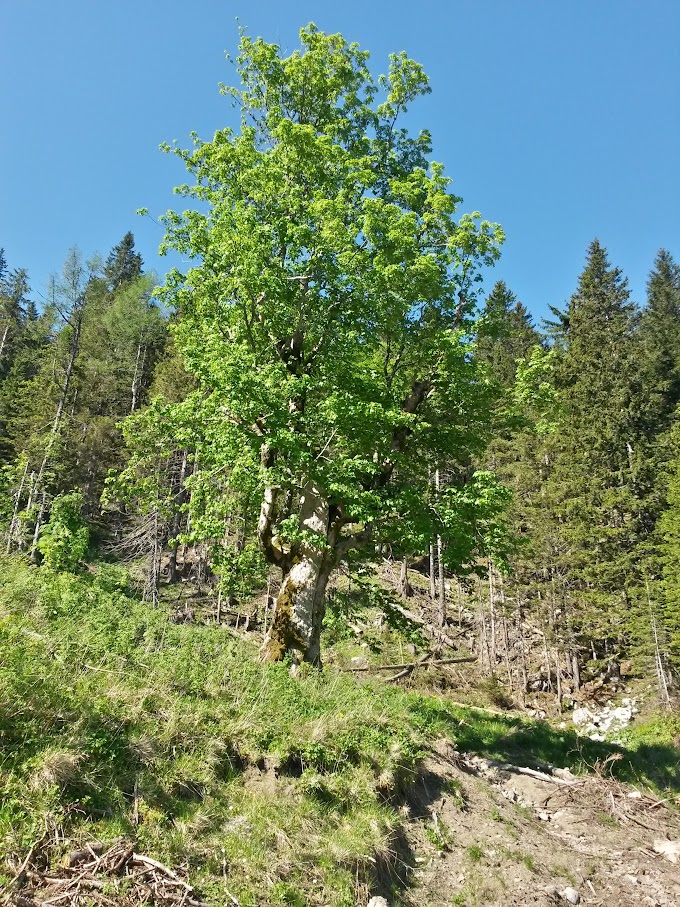 lh4.googleusercontent.com_-mqx6mpeoedm_vxl_pwpff_i_aaaaaaaajrk_r7auhjnsjn8_w680-h907-no_20150606_091611_richtone_2528hdr_2529.jpg lh4.googleusercontent.com_-mqx6mpeoedm_vxl_pwpff_i_aaaaaaaajrk_r7auhjnsjn8_w680-h907-no_20150606_091611_richtone_2528hdr_2529.jpg