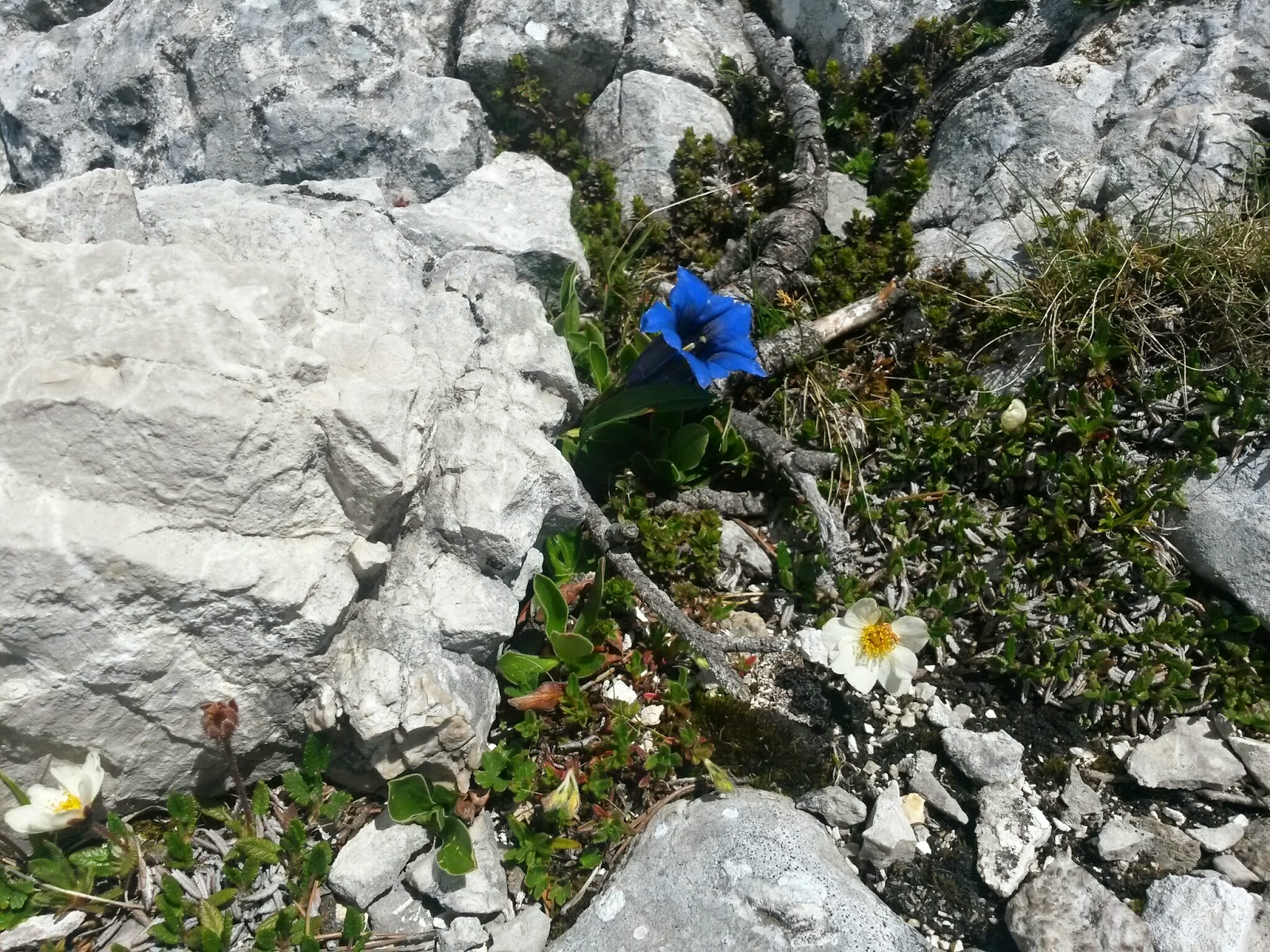 lh4.googleusercontent.com_-dlnn40a0zti_u5m-xdh-pfi_aaaaaaaay-o_qafkcln_u9m_w1600-h1200-no_20140607_124035_richtone_2528hdr_2529.jpg lh4.googleusercontent.com_-dlnn40a0zti_u5m-xdh-pfi_aaaaaaaay-o_qafkcln_u9m_w1600-h1200-no_20140607_124035_richtone_2528hdr_2529.jpg