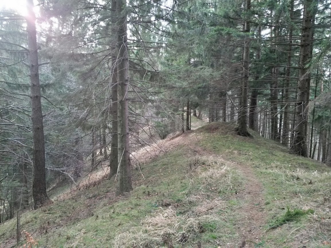 lh6.googleusercontent.com_-ff0q4qgcnty_uslvmwlxebi_aaaaaaaausu_nwiquhwaf_i_w1155-h866-no_20131231_124254_richtone_2528hdr_2529.jpg lh6.googleusercontent.com_-ff0q4qgcnty_uslvmwlxebi_aaaaaaaausu_nwiquhwaf_i_w1155-h866-no_20131231_124254_richtone_2528hdr_2529.jpg