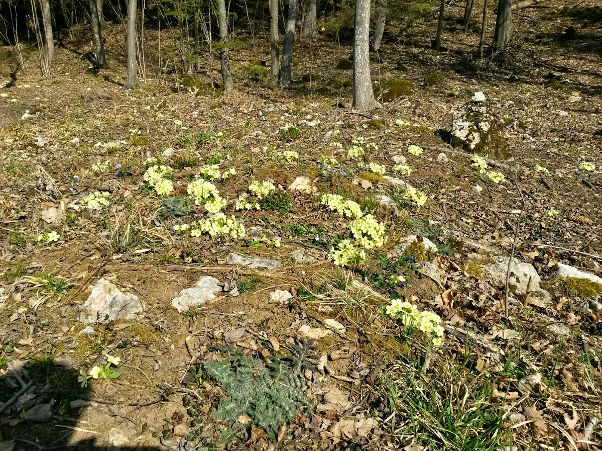 lh4.googleusercontent.com_-gfoffdgosf4_vra5asavnqi_aaaaaaaaidg_oeqloyaupfi_w1209-h907-no_20150328_101222_richtone_28hdr_29.jpg lh4.googleusercontent.com_-gfoffdgosf4_vra5asavnqi_aaaaaaaaidg_oeqloyaupfi_w1209-h907-no_20150328_101222_richtone_28hdr_29.jpg