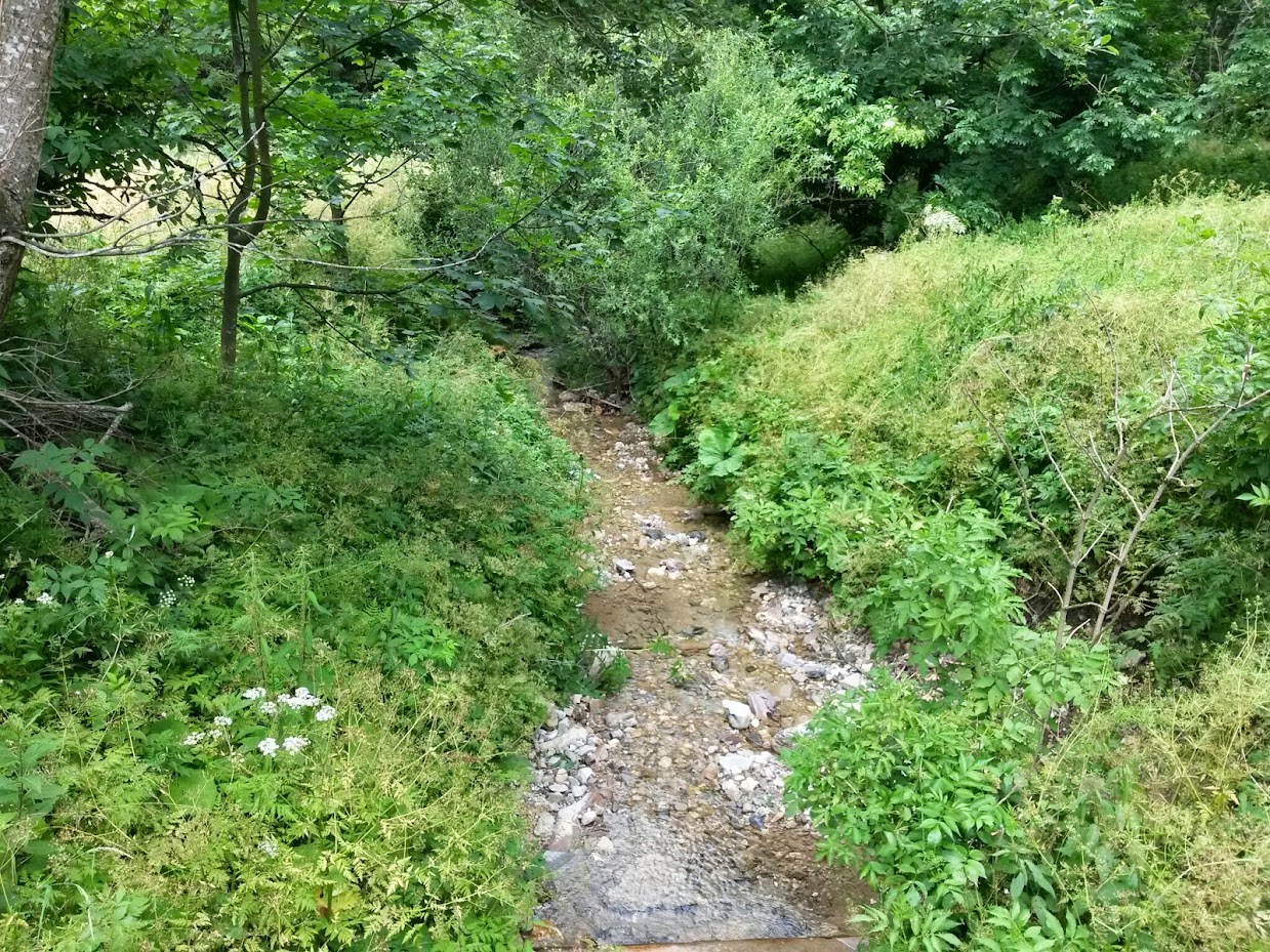 lh4.googleusercontent.com_-kbtw2uuq4a8_u7f966ord4i_aaaaaaaabaw_bucpptk9a5o_w1239-h929-no_20140705_123437_richtone_2528hdr_2529.jpg lh4.googleusercontent.com_-kbtw2uuq4a8_u7f966ord4i_aaaaaaaabaw_bucpptk9a5o_w1239-h929-no_20140705_123437_richtone_2528hdr_2529.jpg