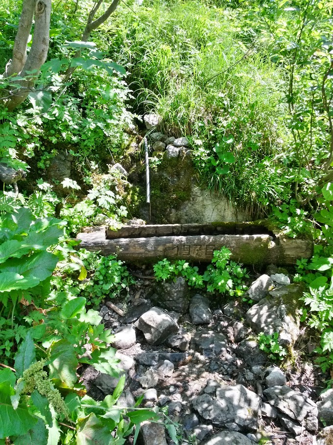 lh6.googleusercontent.com_-oef-p0clptq_vzfl-wtsqti_aaaaaaaamfy_t4bi-pztx-8_w680-h907-no_20150704_122600_richtone_2528hdr_2529.jpg lh6.googleusercontent.com_-oef-p0clptq_vzfl-wtsqti_aaaaaaaamfy_t4bi-pztx-8_w680-h907-no_20150704_122600_richtone_2528hdr_2529.jpg