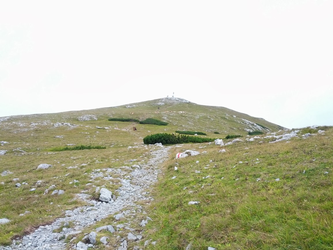 lh4.googleusercontent.com_-uph_gk5edso_uhjnv3zjvyi_aaaaaaaap4u_z0eofny5uhs_w1155-h866-no_img_20130824_123224.jpg lh4.googleusercontent.com_-uph_gk5edso_uhjnv3zjvyi_aaaaaaaap4u_z0eofny5uhs_w1155-h866-no_img_20130824_123224.jpg