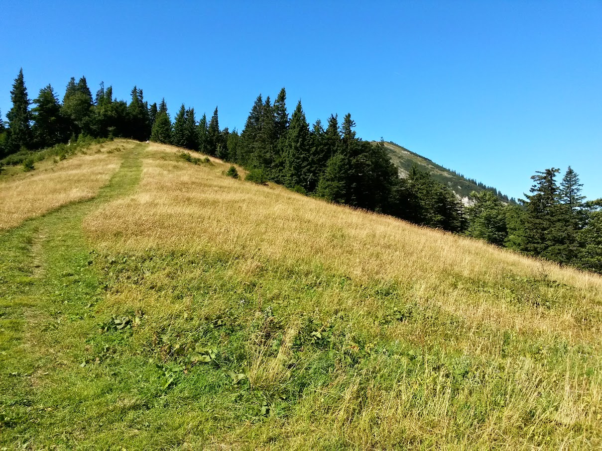 lh6.googleusercontent.com_-xngppttyexe_vdsc1cuc_ei_aaaaaaaandu_ywly_jsayzy_w1209-h907-no_20150824_101649_richtone_2528hdr_2529.jpg lh6.googleusercontent.com_-xngppttyexe_vdsc1cuc_ei_aaaaaaaandu_ywly_jsayzy_w1209-h907-no_20150824_101649_richtone_2528hdr_2529.jpg