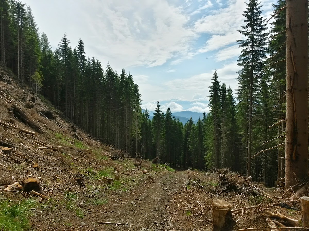 lh5.googleusercontent.com_-qmfnwblao3e_vx6pspz2rdi_aaaaaaaakeo_gzt7q6y5tda_w1200-h900-no_20150615_102031_richtone_2528hdr_2529.jpg lh5.googleusercontent.com_-qmfnwblao3e_vx6pspz2rdi_aaaaaaaakeo_gzt7q6y5tda_w1200-h900-no_20150615_102031_richtone_2528hdr_2529.jpg