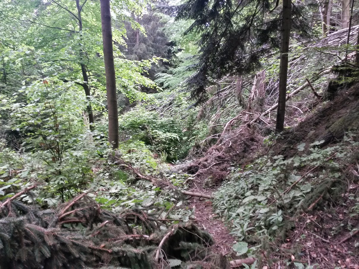 lh4.googleusercontent.com_-zdovs60jmli_vvstwkyk6ui_aaaaaaaajbk_gdtxpomj0ky_w1209-h907-no_20150514_121252_richtone_2528hdr_2529.jpg lh4.googleusercontent.com_-zdovs60jmli_vvstwkyk6ui_aaaaaaaajbk_gdtxpomj0ky_w1209-h907-no_20150514_121252_richtone_2528hdr_2529.jpg